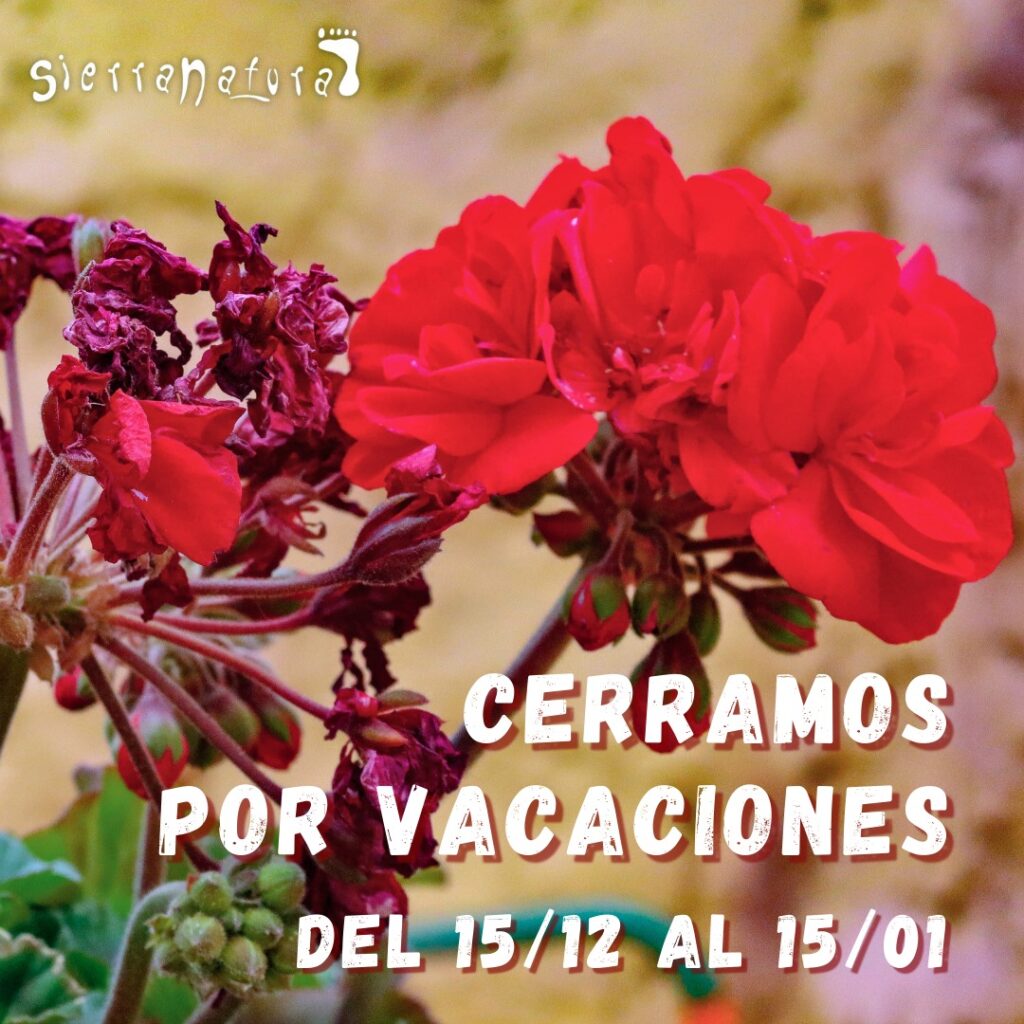 Cerramos por Vacaciones