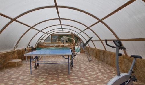 Ping Pong
