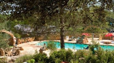 arboles-piscina