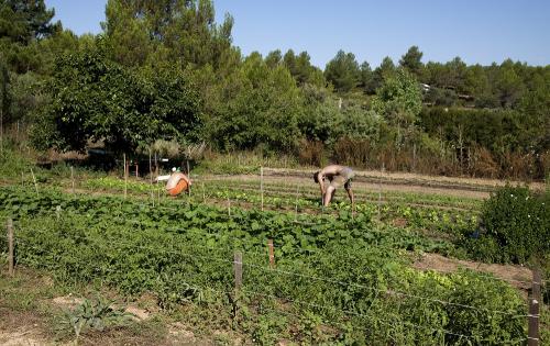 huerta ecológica nudista