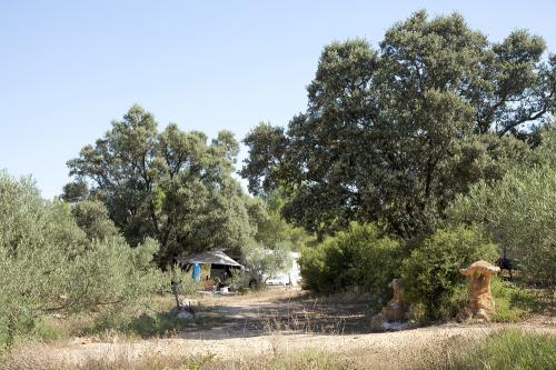 camping nudista